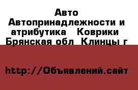 Авто Автопринадлежности и атрибутика - Коврики. Брянская обл.,Клинцы г.